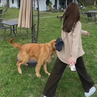 虎穴追踪