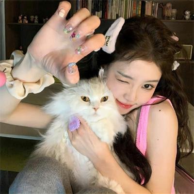绿衣骑士